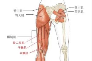 2017温网对阵图