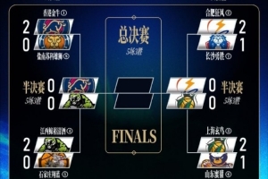 日本解说马龙vs水谷隼