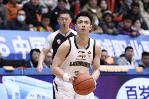 德国vs智利首发阵容