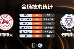 雨燕湖人vs鹈鹕直播