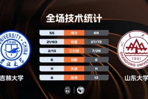 欧冠杯卢多戈雷vs维迪
