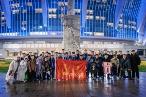 现代 vs 柏太阳神