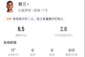 大威vs范德维格