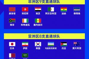 欧洲vs中国队