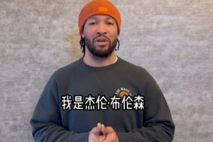 埃门VS维特斯