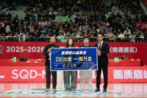 2008林丹vs李宗伟高清