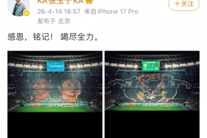 2016意大利vs瑞典