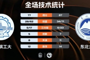 潘晓婷vs希金斯比赛