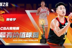 维尔斯特曼vs托利马体育比分