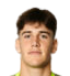 安特·武科维奇