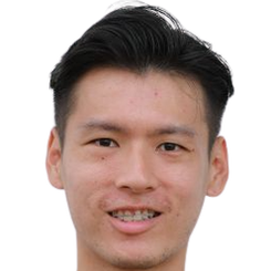 维拉帕·尼布法