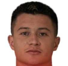 阿劳兹