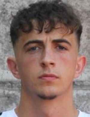 迈克·莱维茨基