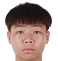 田成龙