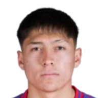 P.费尔南德斯